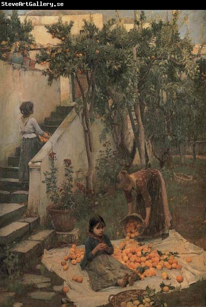 John William Waterhouse Study of a Garden on Capri
